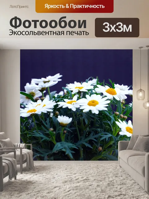 Фотообои Маргаритки