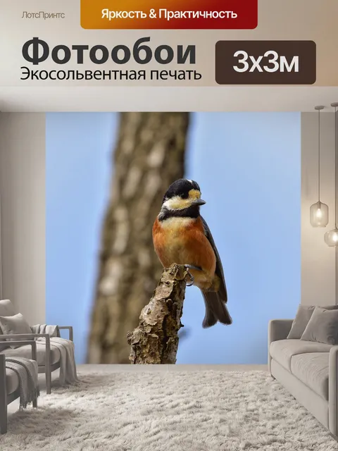Фотообои Животное