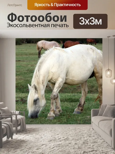 Фотообои Лошади