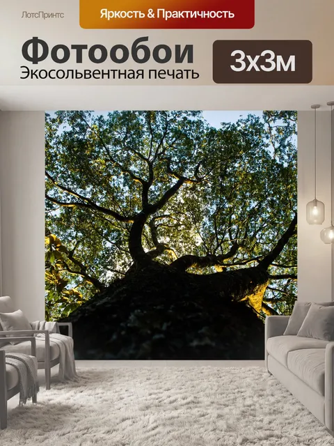 Фотообои Дерево