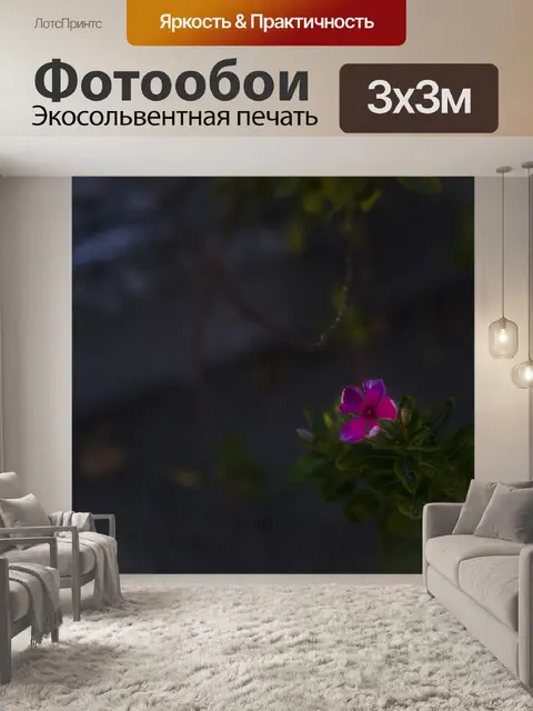 Фотообои Цветок