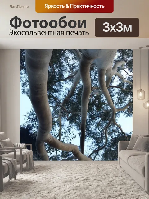Фотообои Дерево