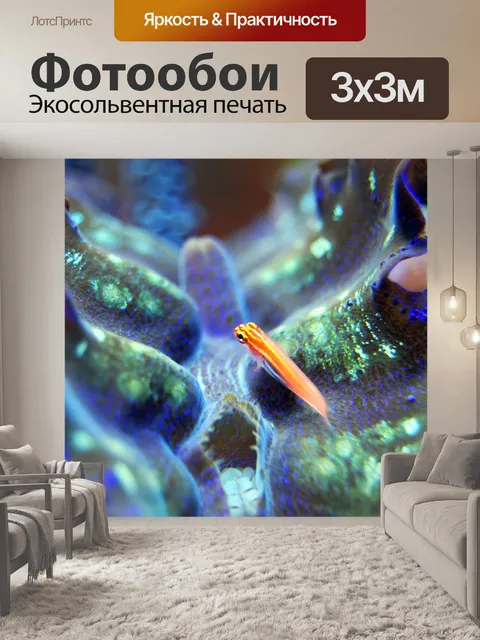 Фотообои Рыбы