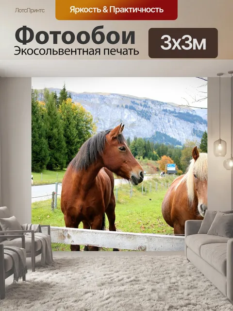 Фотообои Лошади
