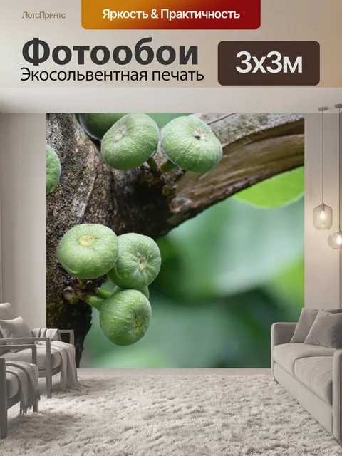 Фотообои Дерево