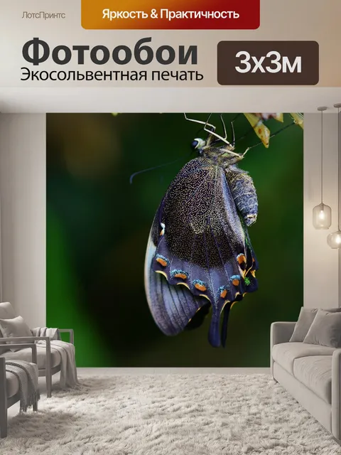 Фотообои Кокон