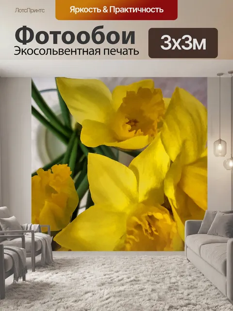 Фотообои нарциссы
