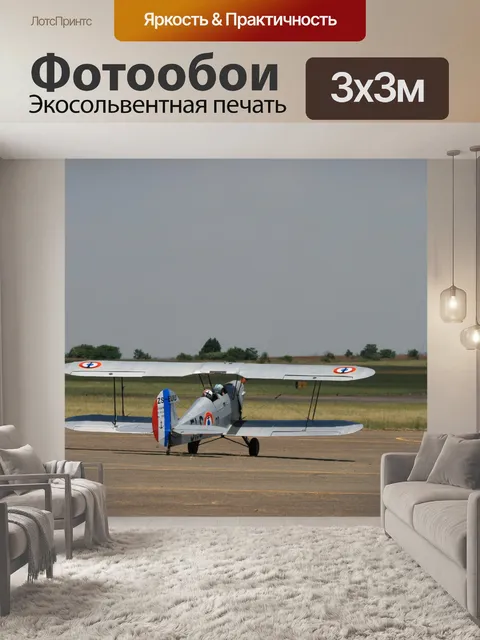 Фотообои Stampe биплан