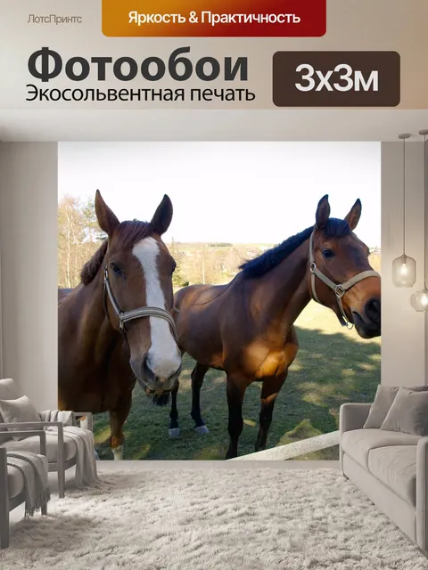 Фотообои Лошади