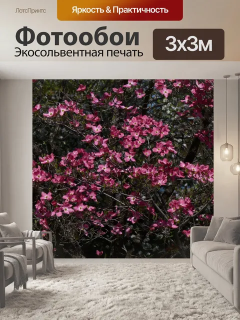 Фотообои Темно-розовые цветы