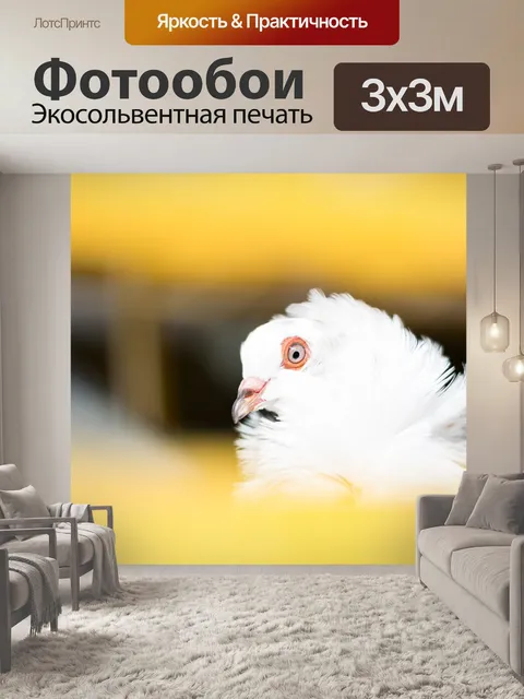 Фотообои Птицы