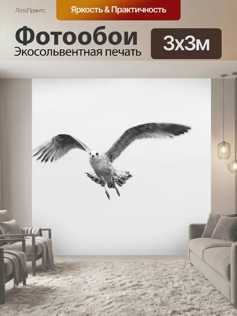 Фотообои Птица