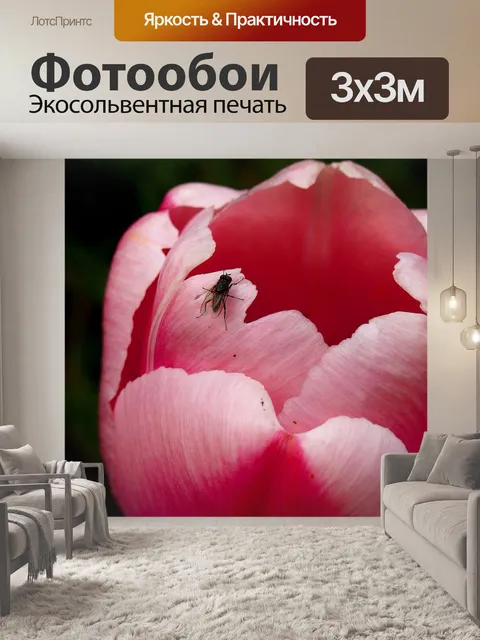 Фотообои Тюльпан