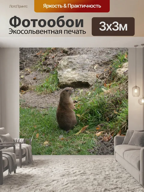 Фотообои Животное