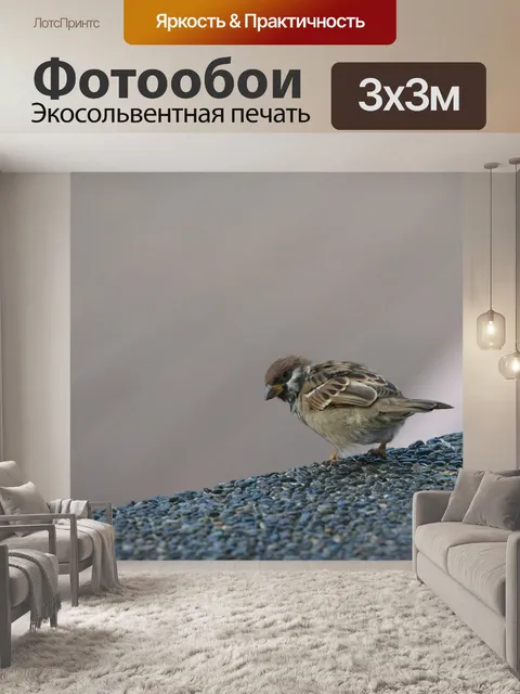 Фотообои Воробей