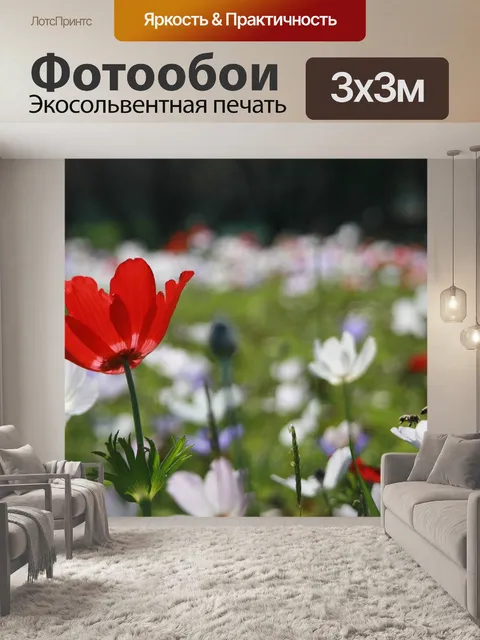 Фотообои Анемон