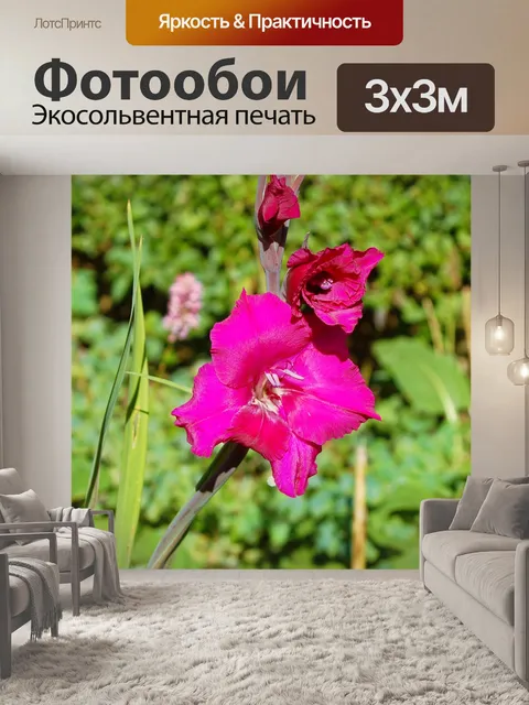 Фотообои Цветы 6