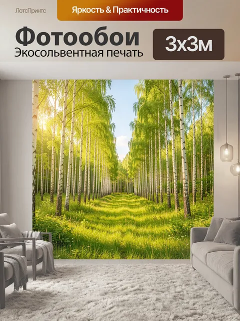 Фотообои Берёзовая аллея в солнечном лесу