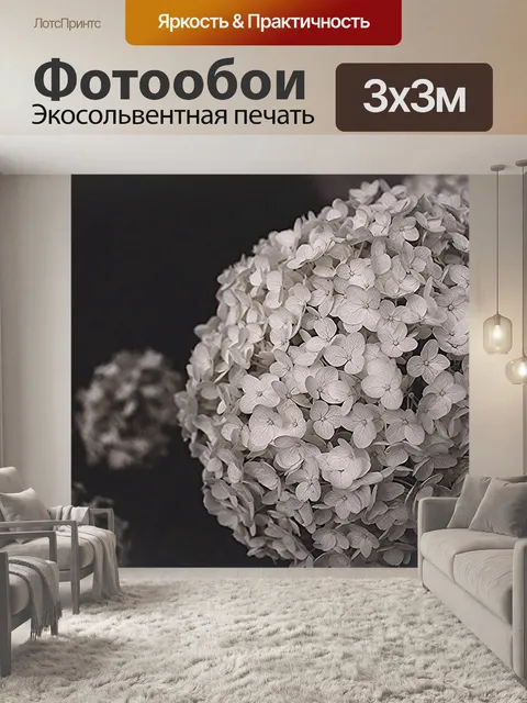 Фотообои Гортензия