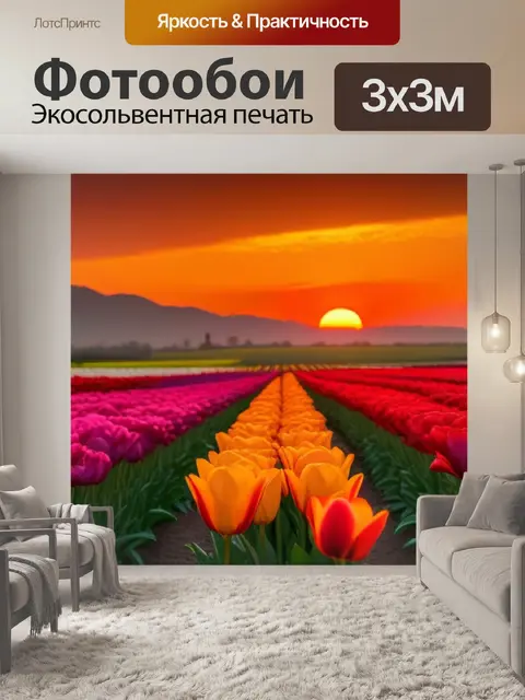 Фотообои тюльпаны на закате, полные эмоций