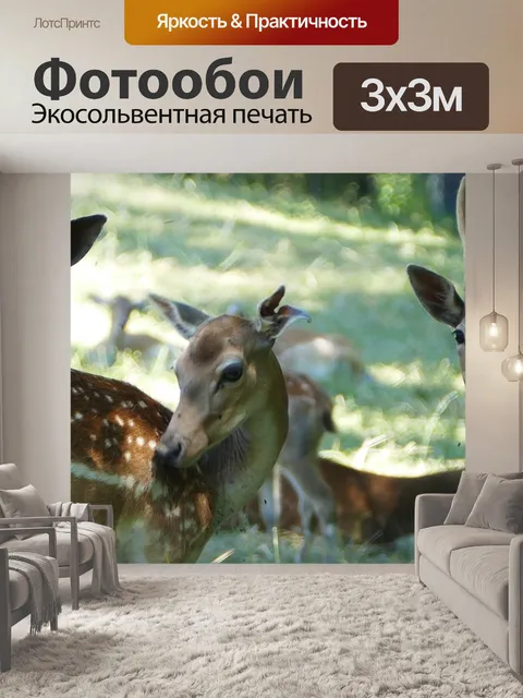 Фотообои Природа