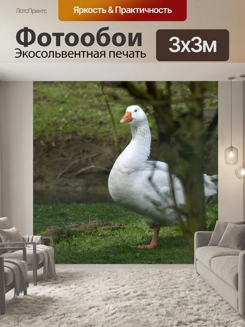 Фотообои Гусь