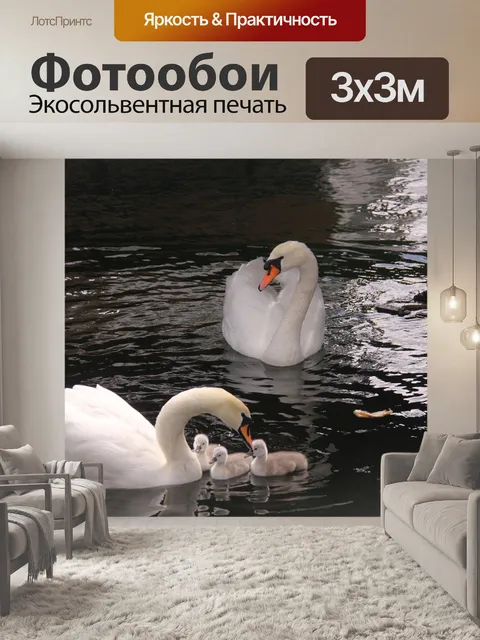 Фотообои Лебеди