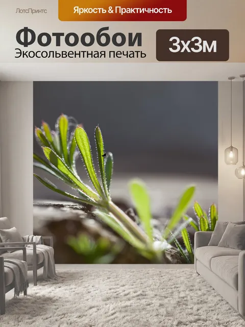 Фотообои Трава
