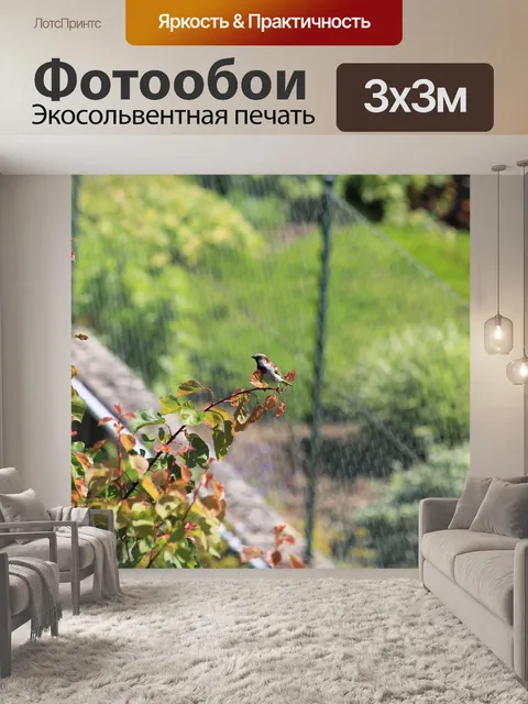 Фотообои Птица