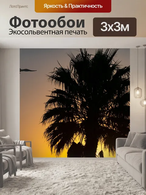 Фотообои Закат за пальмой