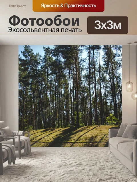 Фотообои Тень