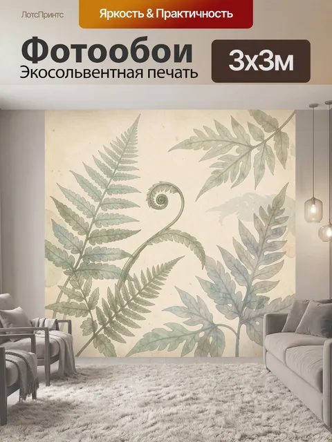 Фотообои Ботаническая композиция с папоротниками