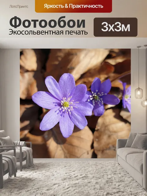 Фотообои Цветок