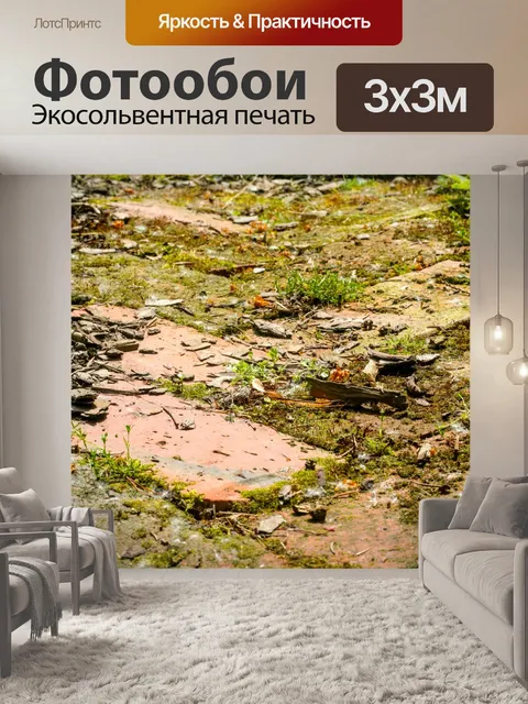 Фотообои Путь в саду