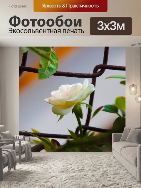 Фотообои Цветок