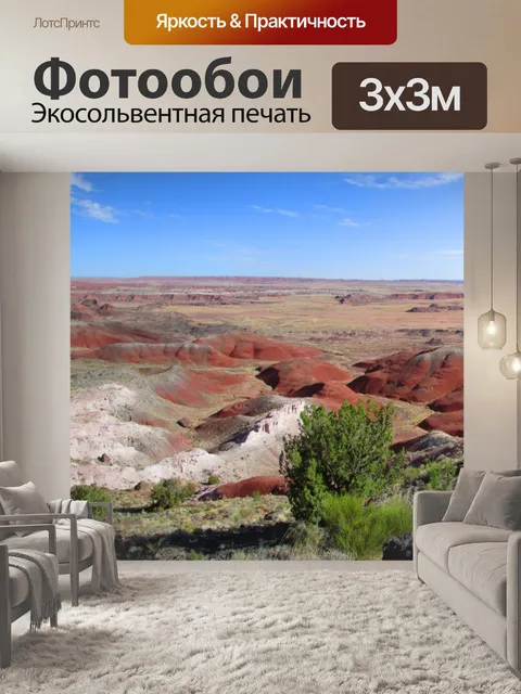 Фотообои Окаменелый лес Панорама