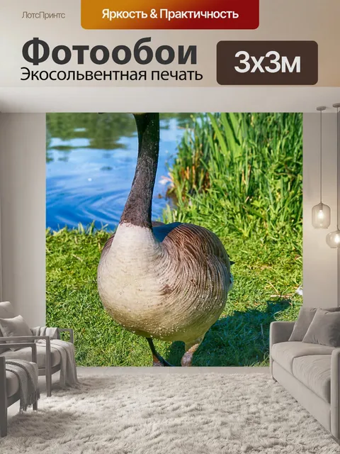 Фотообои Животные