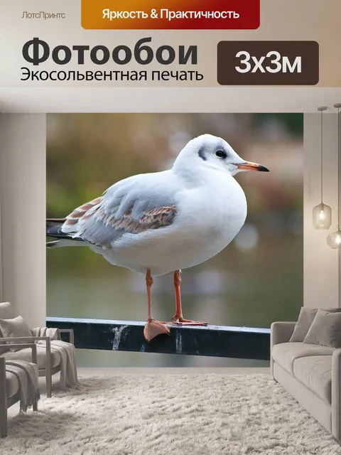 Фотообои Птица