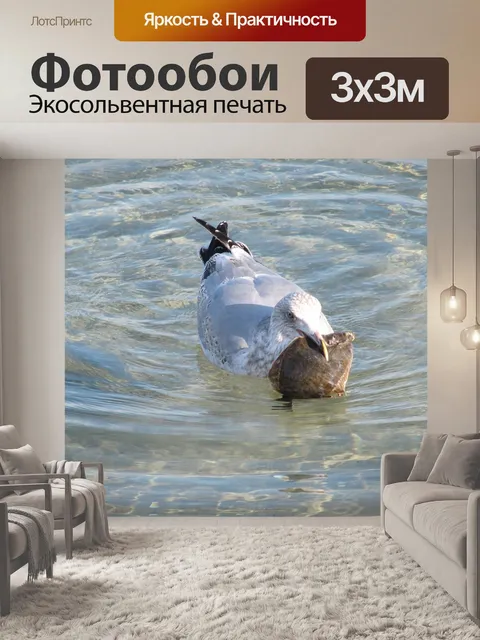 Фотообои Воды