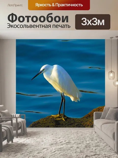 Фотообои Птицы