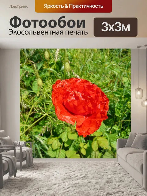 Фотообои Поля