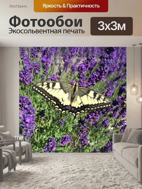 Фотообои Лаванда