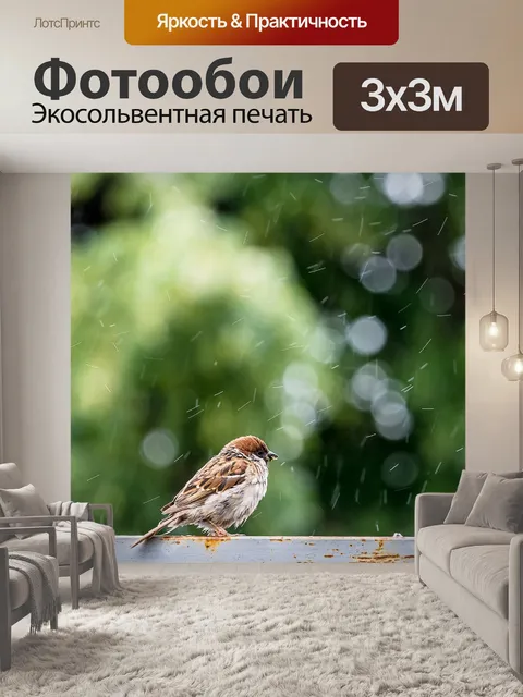 Фотообои Птицы