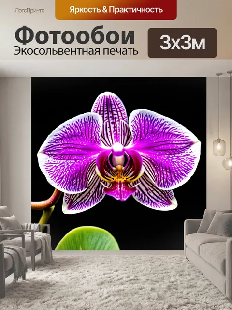 Фотообои орхидея с яркими кристаллами, создающими отблески света