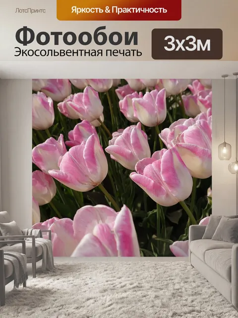 Фотообои Тюльпаны