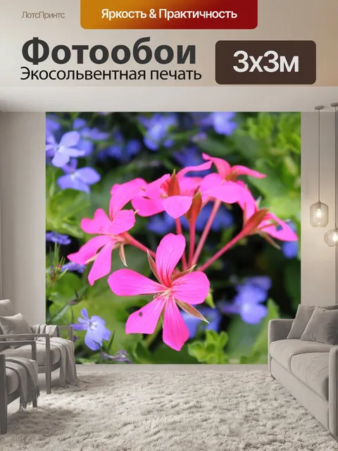 Фотообои Цветы