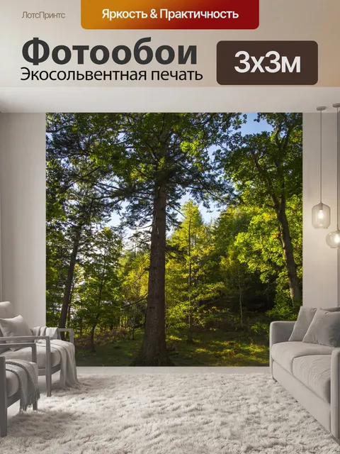 Фотообои лес