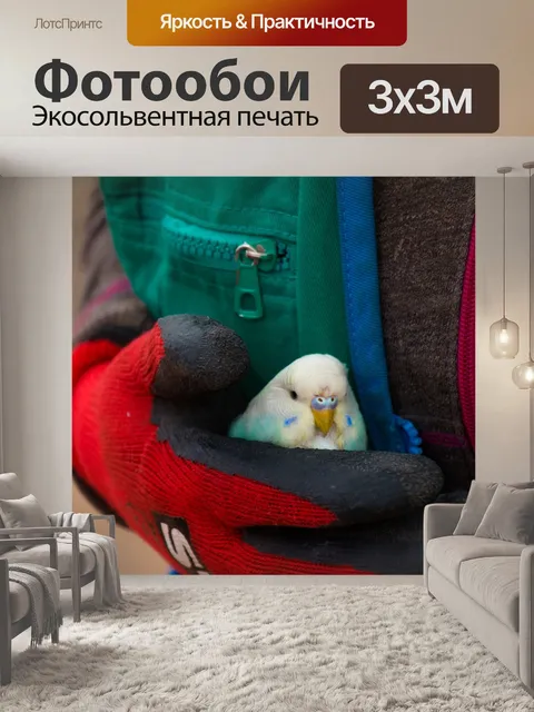 Фотообои Птица