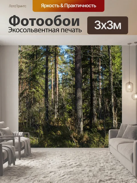 Фотообои Лес