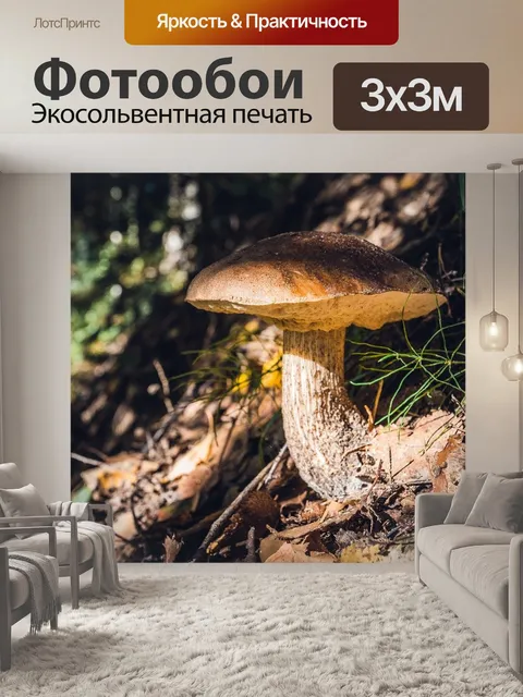 Фотообои Лес